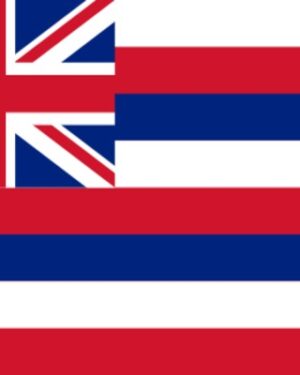 USA State Hawaii Business Email List, Sales Leads Database 1