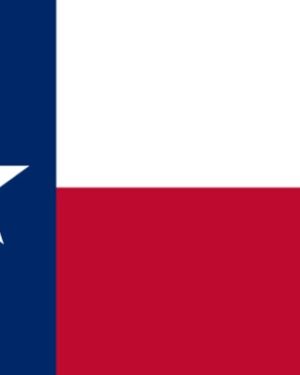 USA State Texas Business Email List, Sales Leads Database 1